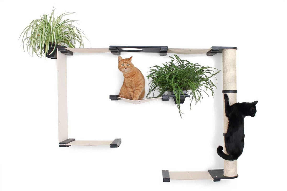 Cats on Mini Garden Cat Condo