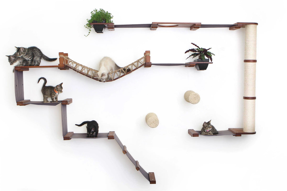 Wall-mounted cat play structure with shelves, a hammock, and toys on a white background