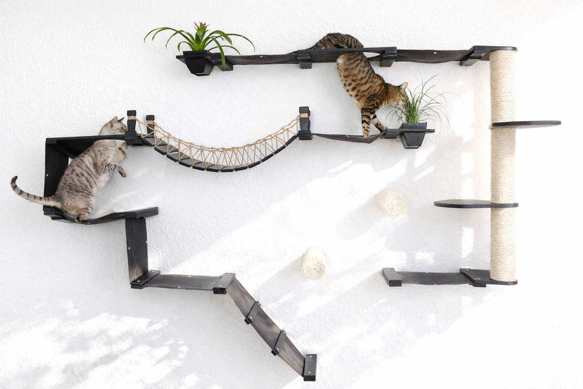 Cat climbing wall with shelves, hammock, and scratching post on a white background