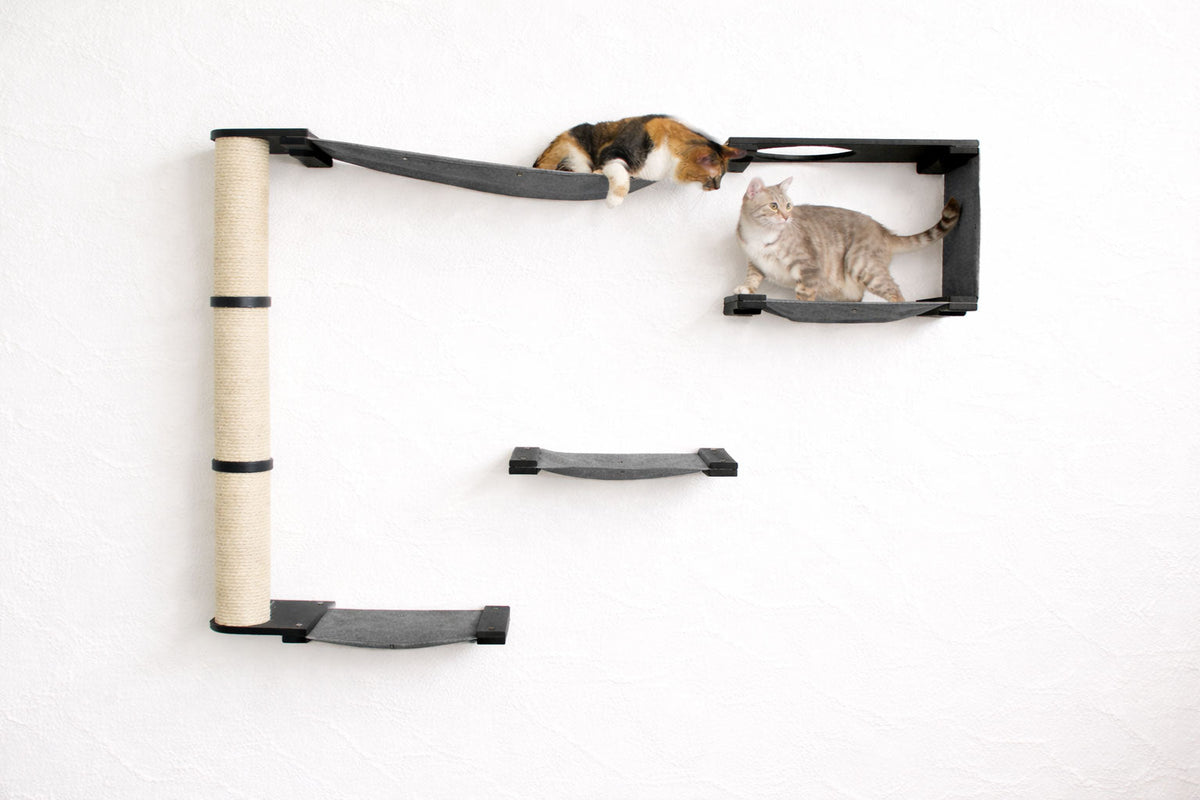cats playing a a large wall mounted cat tree with charcoal canvas and black stain