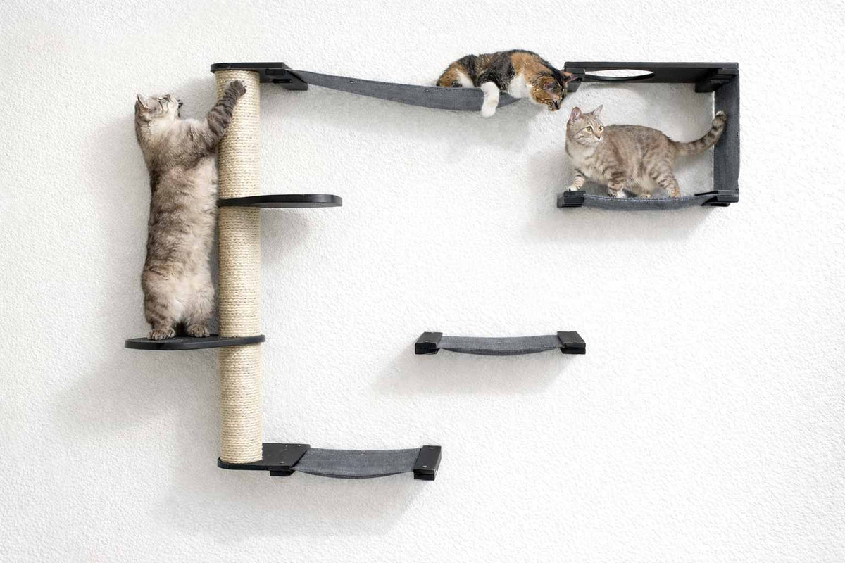 Cat climbing wall with multiple levels and a cat on each level against a white background