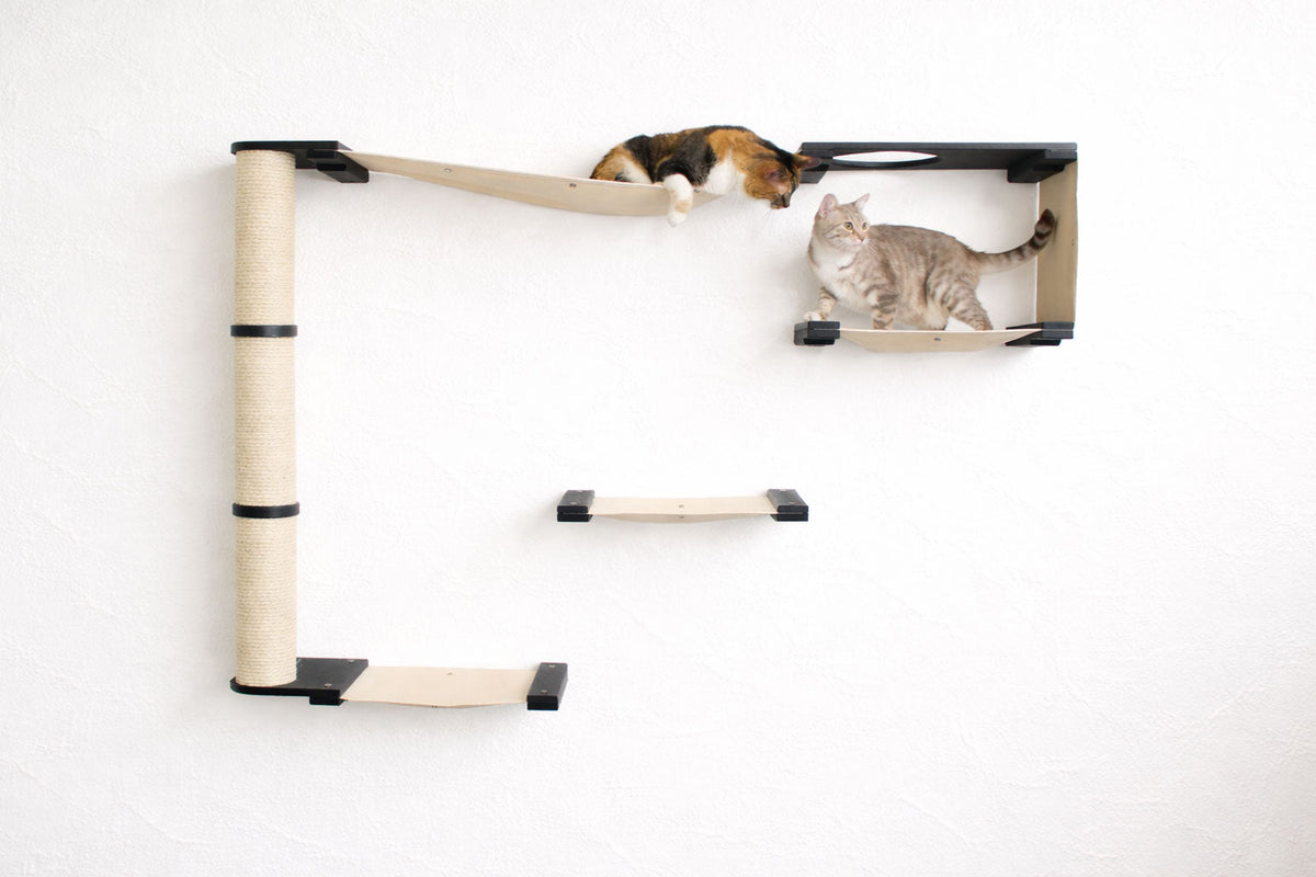 Two cats on a wall-mounted cat shelf with white background