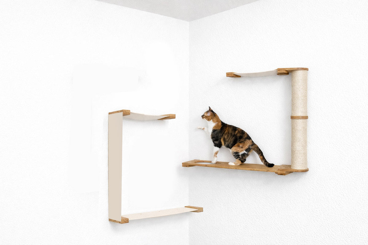 Cat on a wooden cat shelf against a white wall