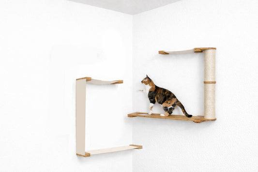 Cat on a wooden cat shelf against a white wall