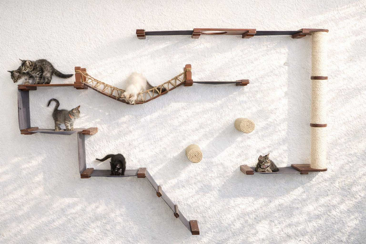 Cat play area with shelves, a hammock, and scratching posts on a white background