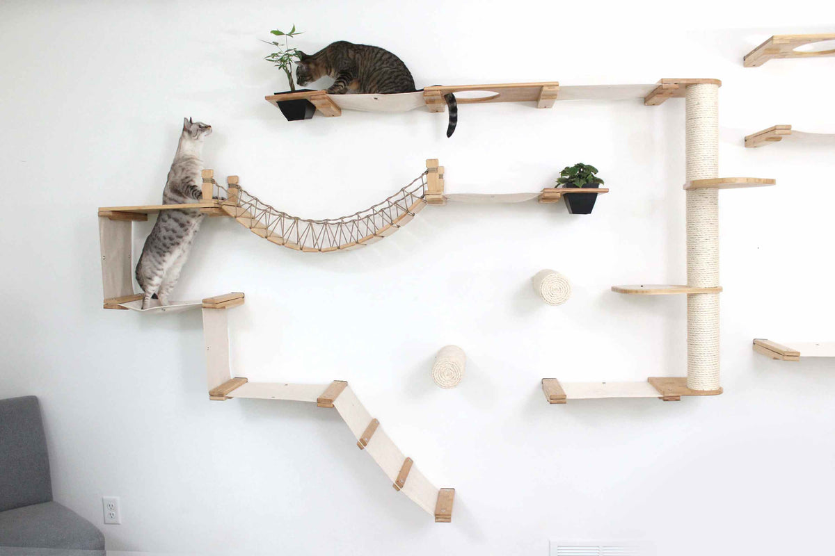 cats exploring large cat tree