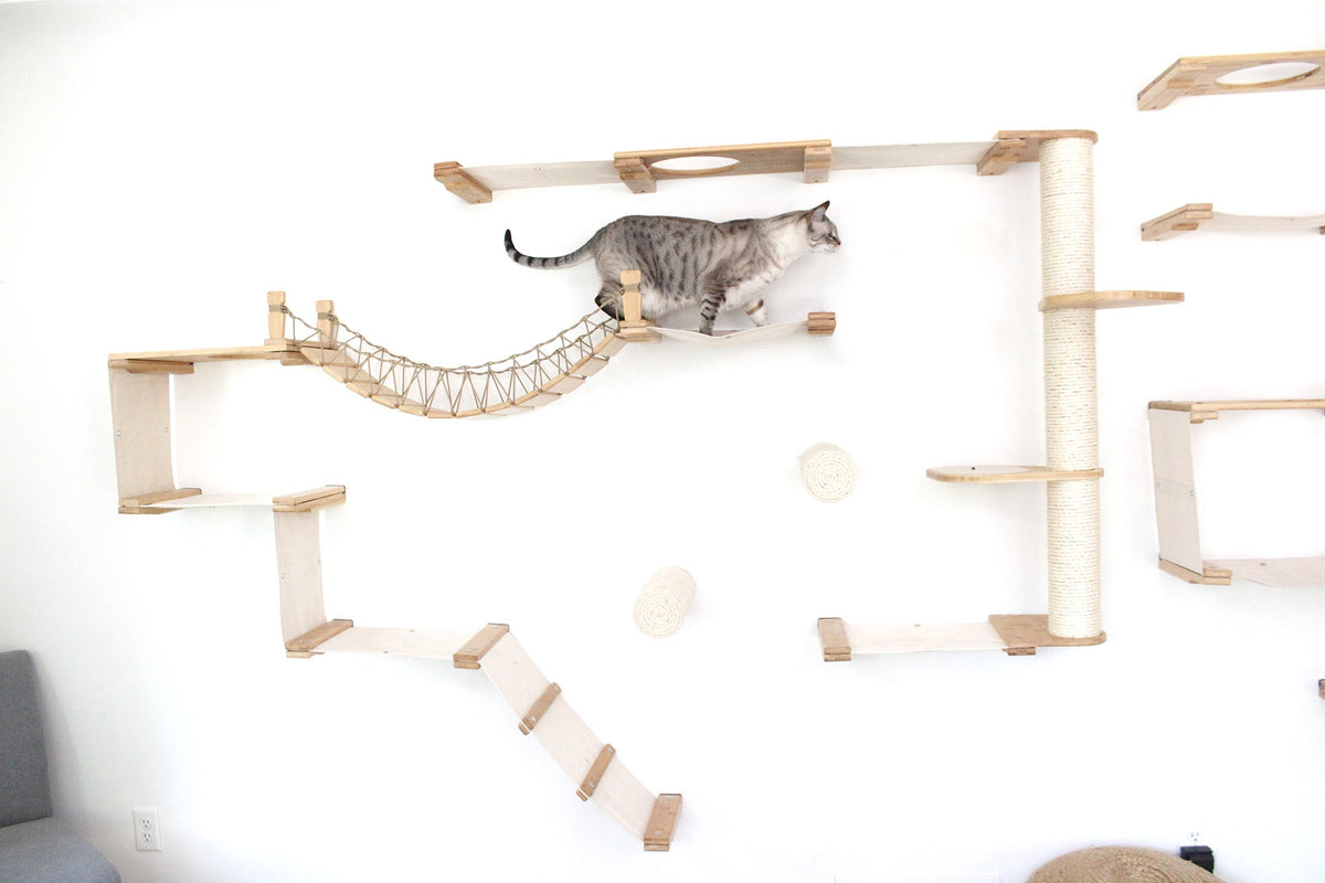 Cat playing on a wall-mounted cat tree with shelves and a hammock.