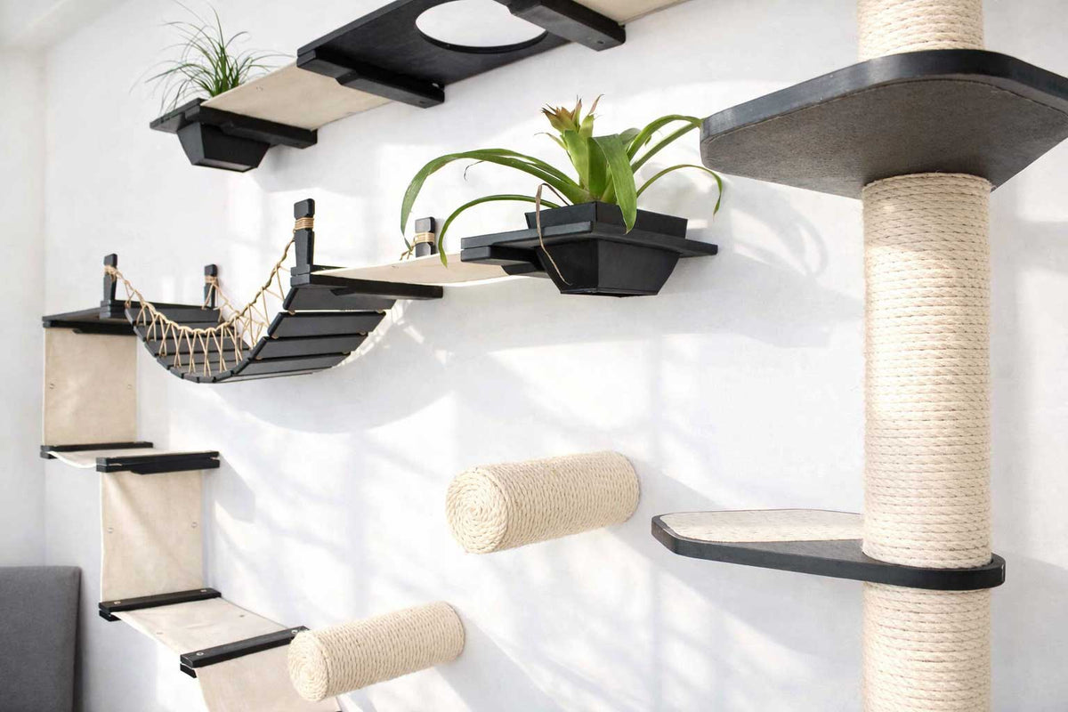 Cat play area with shelves, a hammock, and a scratching post on a white wall.
