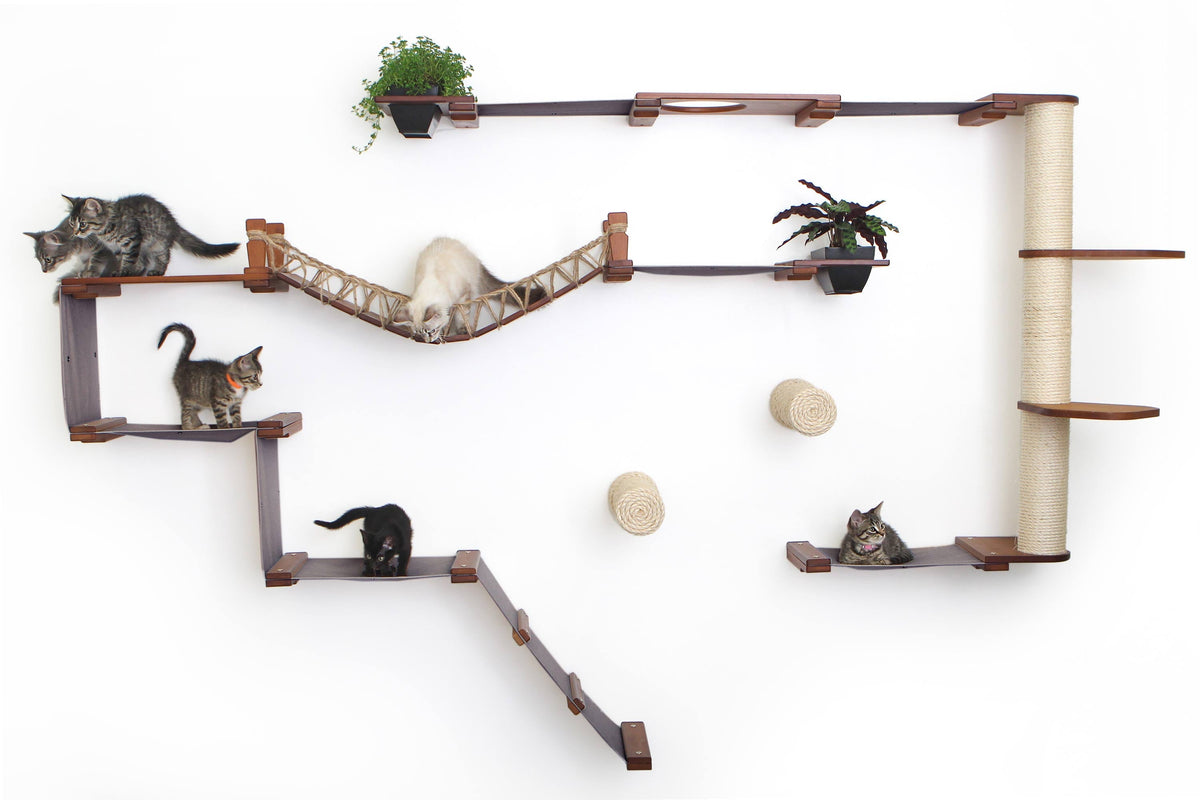 Kittens playing and lounging on an English Chestnut Juggernaut with Charcoal Gray canvas hammocks and Leaf Shelf additions for the scratching pole.