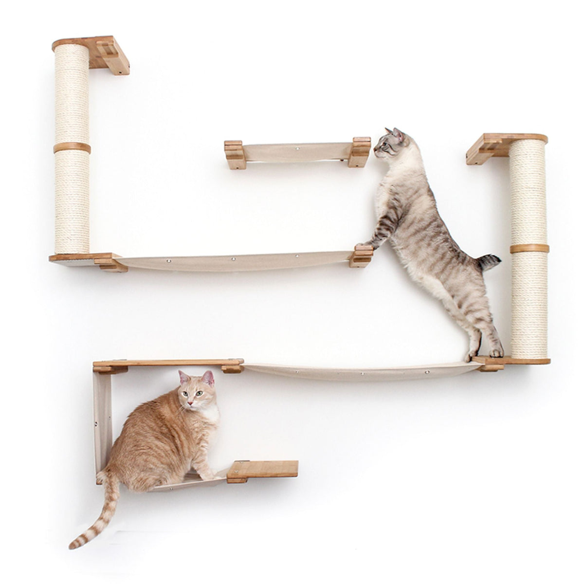 Cats on Roman Cat Condo